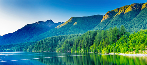 Earth Day image 2.jpg